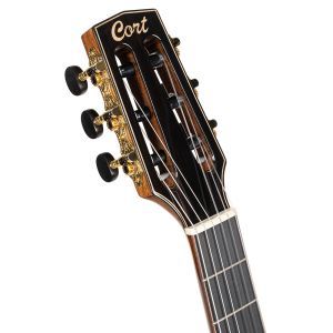 Cort Nylectric DLX Tobacco Sunburst with Bag