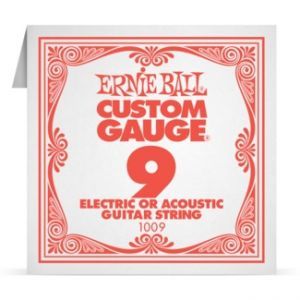 Ernie Ball Custom Gauge 009 1009