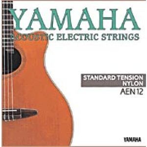 Yamaha AEN 12