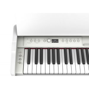 Set Pian Digital Roland F-701 White