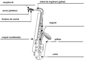 Părțile componente a saxafonului
