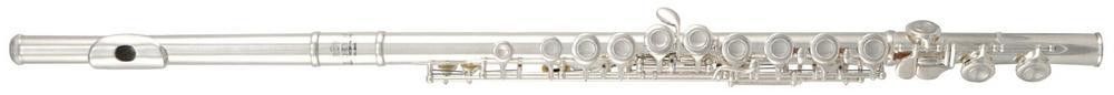 Flaut Roy Benson FL 402e