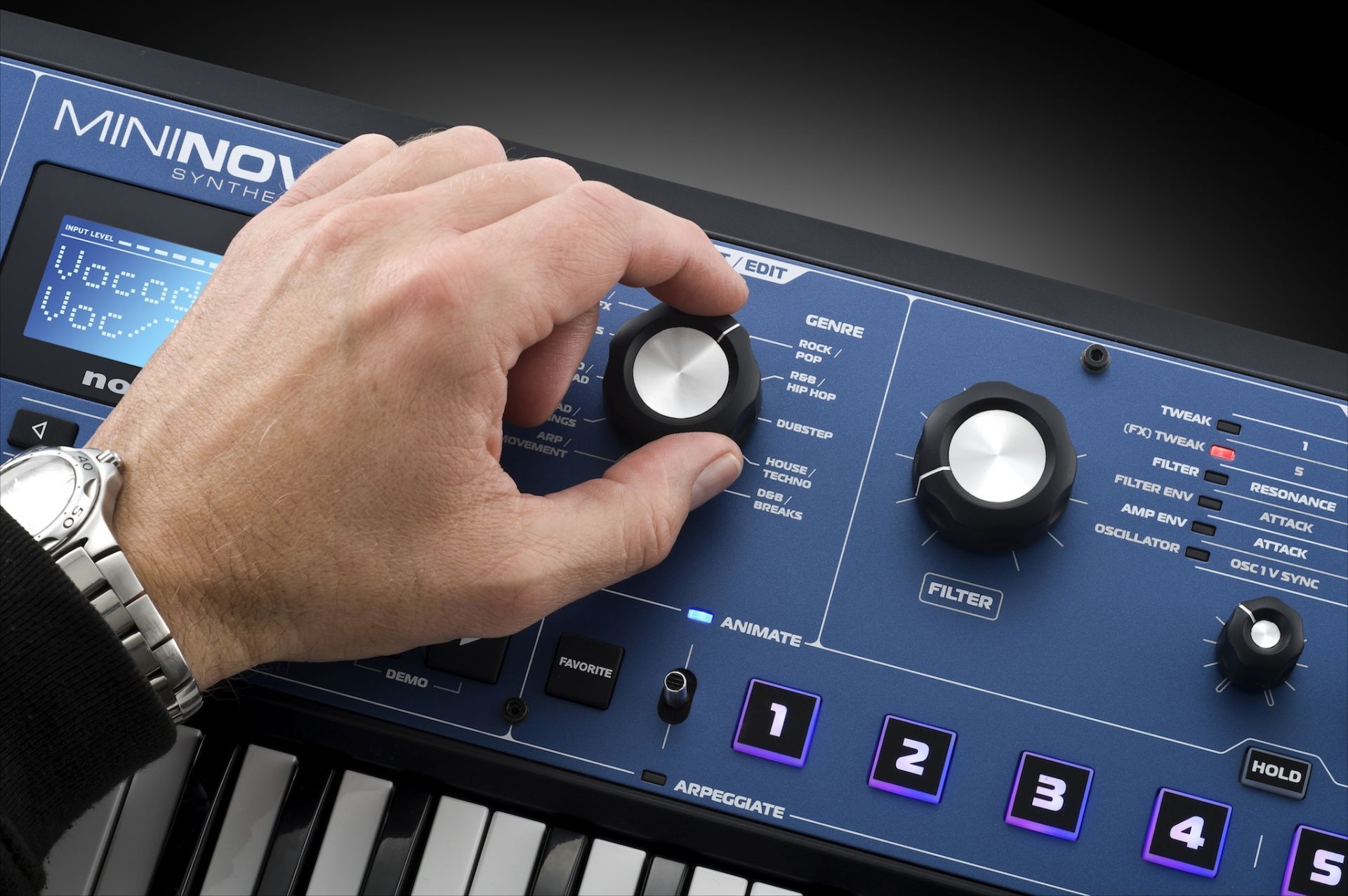 Novation MiniNova Sintetizator | Sound Studio