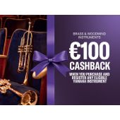 100 Euro Cashback