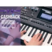 30 Euro Cashback PSR-E473
