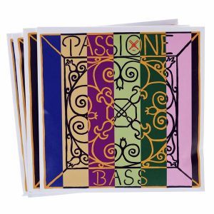 Pirastro Passione Solo Bass 4/4-3/4