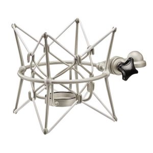 Accesorii  Microfoane