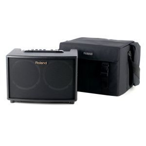 Roland AC 60