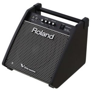 Roland PM 100