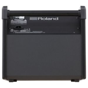 Roland PM 100