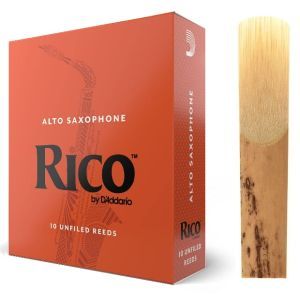 Rico By Daddario 2.0