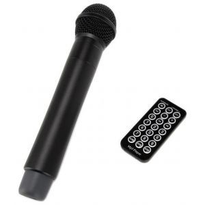 LD Systems Roadbuddy 10