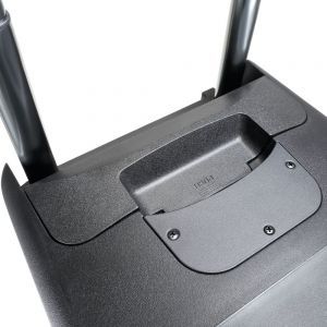 LD Systems Roadbuddy 10 B5