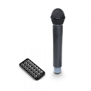 LD Systems Roadbuddy 10 B5