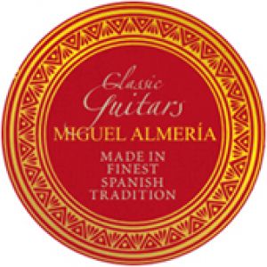 Miguel J. Almeria