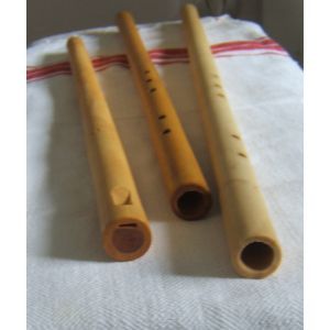 Caval traditional din Salcam