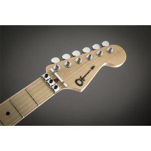 Charvel Warren DeMartini Signature Pro-Mod Blood and Skull