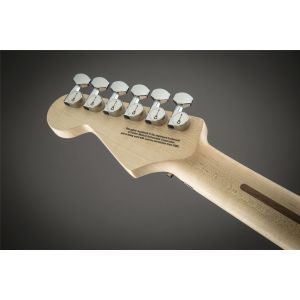 Charvel Warren DeMartini Signature Pro-Mod Blood and Skull