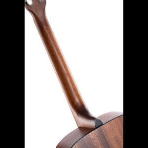 Chitara Acustica Cort AD810 Open Pore