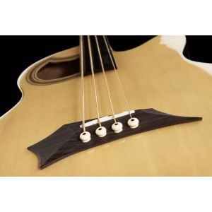 Warwick Alien Standard Fretless 4