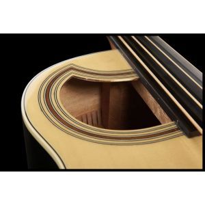 Warwick Alien Standard Fretless 4