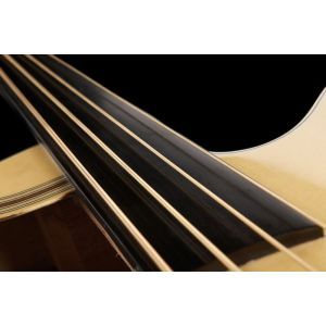 Warwick Alien Standard Fretless 4