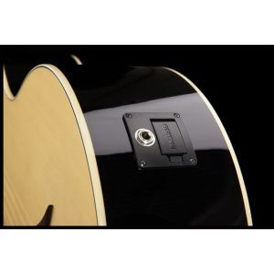 Warwick Alien Standard Fretless 4