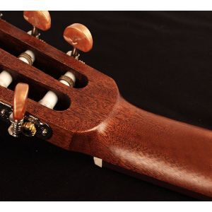 Cort AC120 CE Open Pore