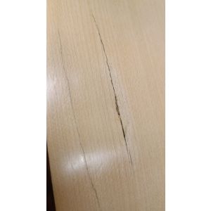 Hora Silver Paltin 4/4 - Resigilat