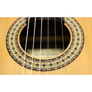 Miguel J. Almeria Premium 20-CR