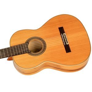 Ortega R20GRG-L 4/4 Left Hand