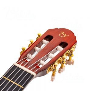 Valida V100 4/4 Honey BB