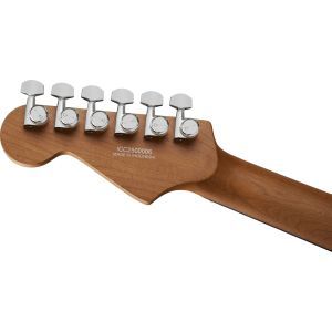 Charvel Pro-Mod Plus Dinky DK24 HH 2PT EB Raven Black