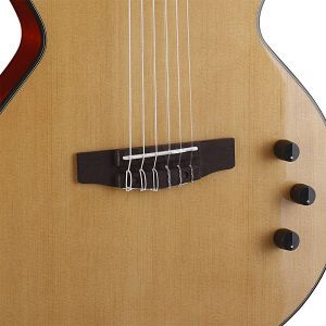 Cort Sunset Nylectric