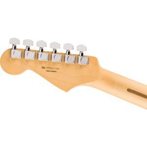 Fender Anniversary Player Stratocaster PF 2-Color Sunburst