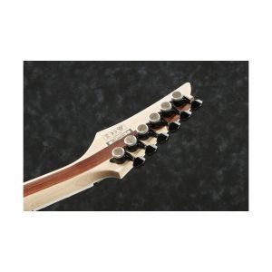 Ibanez RGAIX6U ABS Iron Label