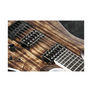 Ibanez RGAIX6U ABS Iron Label