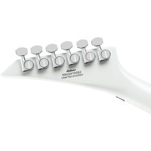 Jackson Limited Edition Legend Series Signature Scott Ian Rhoads RR22 NOT