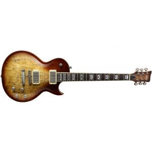 Chitara Electrica VGS Eruption Ytsb