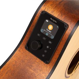 Cort Earth GO Open Pore Brown Burst