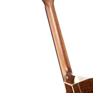 Cort ES-GA4-Special Black Top Semi Gloss