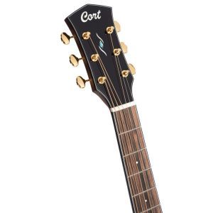 Cort Gold OC6 Bocote Natural