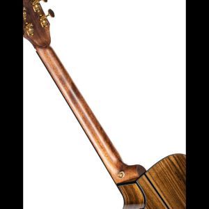 Cort Gold OC6 Bocote Natural