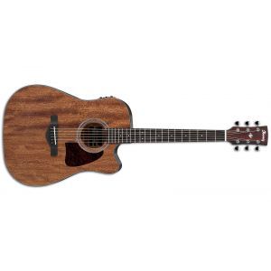 Ibanez AW54CE OPN