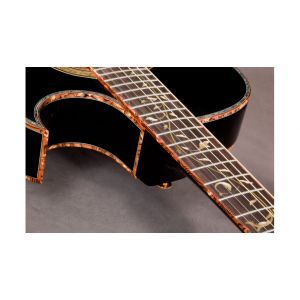 Ibanez EP10 Steve Vai Signature