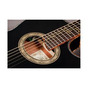 Ibanez EP10 Steve Vai Signature