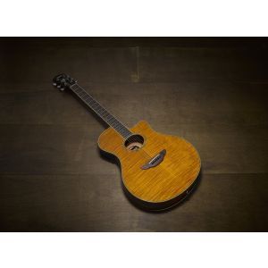 Yamaha APX600FM Amber