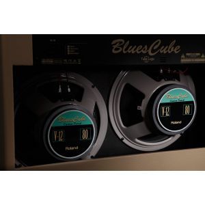 Combo Chitara Electrica Roland Blues Cube Artist 212