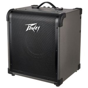 Peavey Max 100