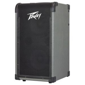 Peavey Max 208